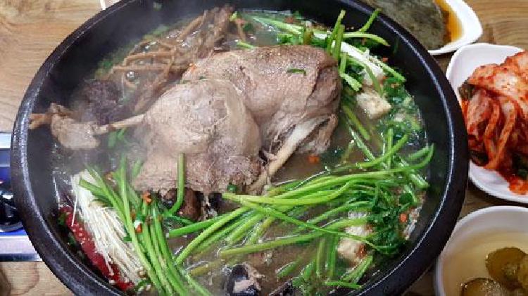 말복에 먹는 음식, 삼계탕만? 요즘 사람들은 이런 것도 찾는다!