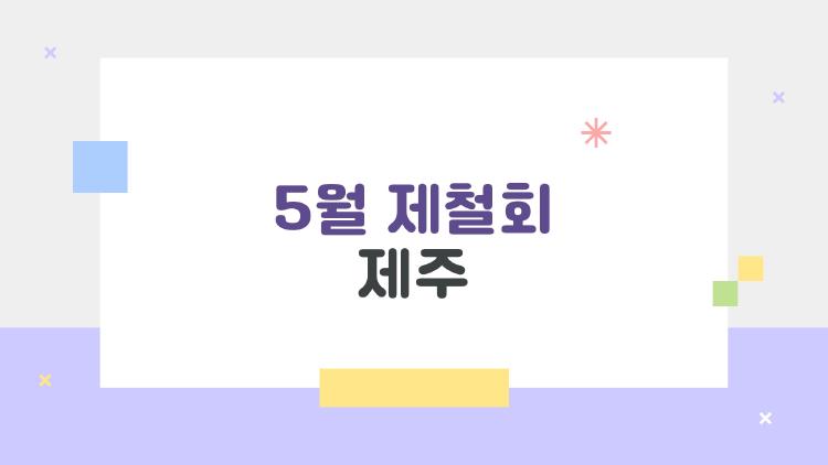 5월 제철회 제주, 이 시기에 꼭 먹어봐야 하는 이유