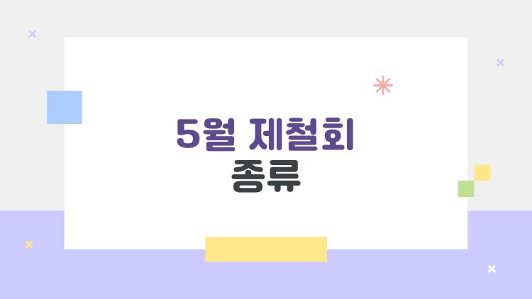 5월 제철 회 종류, 가성비 최고인 이 생선부터 봄돌돔까지 꼭 먹어봐야 하는 7가지