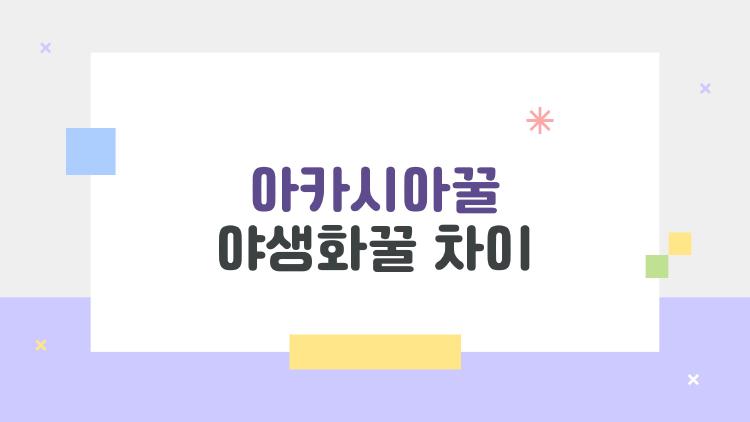 아카시아꿀 야생화꿀 차이