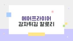 에어프라이어 감자튀김 칼로리, 한 접시에 몇 칼로리? 진짜 의외 수치 공개