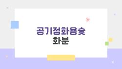 공기정화용숯 화분, 정말 냄새랑 공기 다 정화해 줄까? 솔직 후기