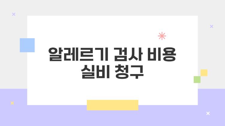 알레르기 검사 비용 실비 청구