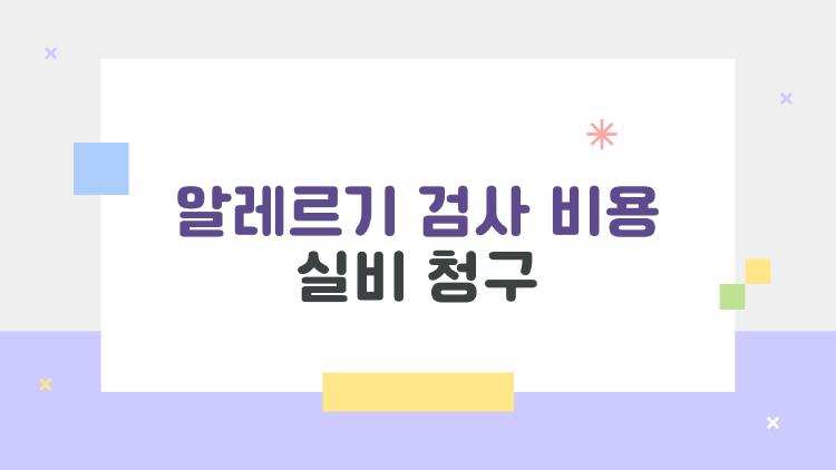 알레르기 검사 비용 실비 청구, 4만 원 꽉 잡는 비밀 방법