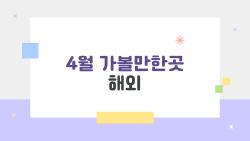 4월 가볼만한곳 해외, 올해 왜 다들 이스탄불 간다고?