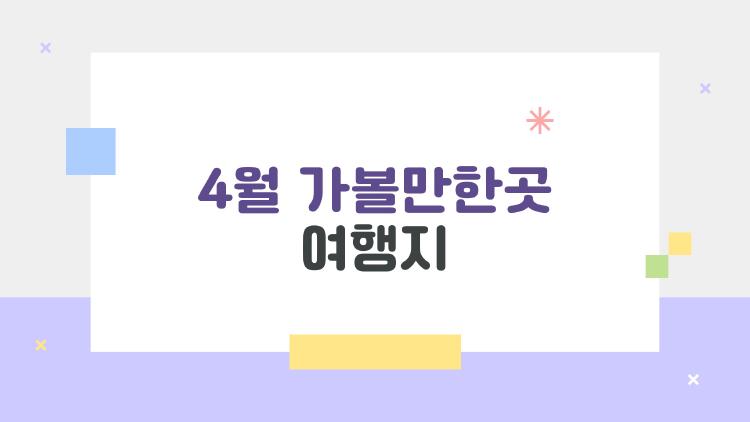 4월 가볼만한곳 여행지, 2026 벚꽃 명소 TOP5가 이미 예약 광란