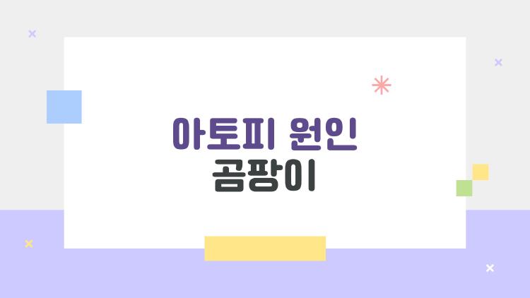 아토피 원인 곰팡이