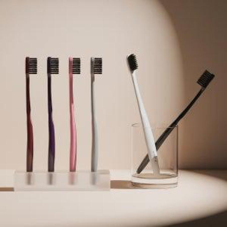 브리스틱 칫솔 어른