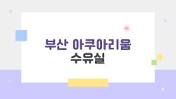 부산 아쿠아리움 수유실, 엄마들이 진짜 궁금해하는 속보이는 후기