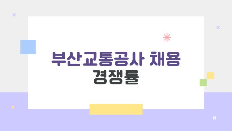 부산교통공사 채용 경쟁률