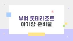 부여 롯데리조트 아기랑 준비물, 아기랑 가는 부모라면 꼭 알아야 할 세 가지 비밀