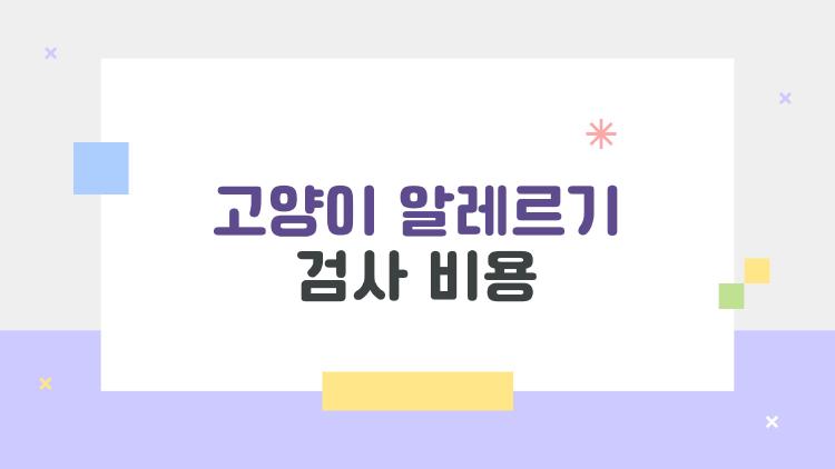 고양이 알레르기 검사 비용, 재채기 고통 끝내는 2026 최저가 꿀팁