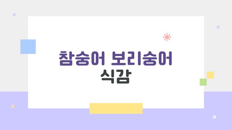 참숭어 보리숭어 식감 차이, 충격! 겨울 vs 봄 누가 이길까