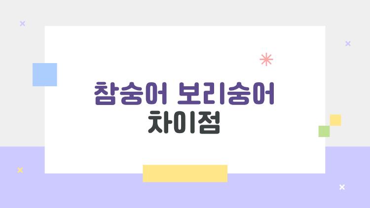 참숭어 보리숭어 차이점