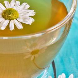 캐모마일 효능 카페인, 카페인 제로인데 잠 잘 오는 비밀