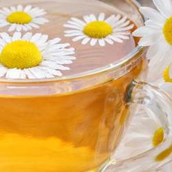 캐모마일 효능 부작용, 수면 바로 잡는 진짜 비밀