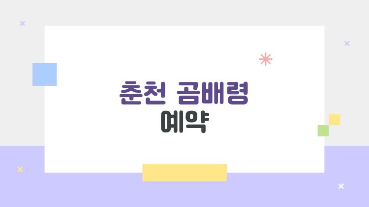 춘천 곰배령 예약
