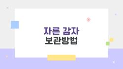 자른 감자 보관방법, 다음 날 물러지지 않는 비밀