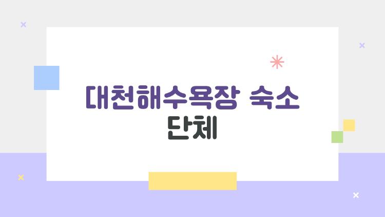 대천해수욕장 숙소 단체, 2026 가성비 끝판왕 펜션 대공개
