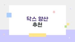 닥스 양산 추천, 2026 최신 트렌드와 가격대별 인기 제품까지