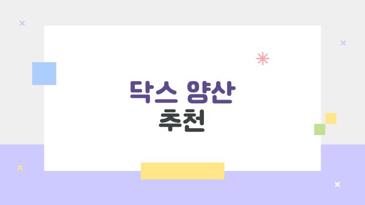 닥스 양산 추천