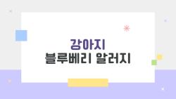 강아지 블루베리 알러지, 먹이다가 후회한 사연들