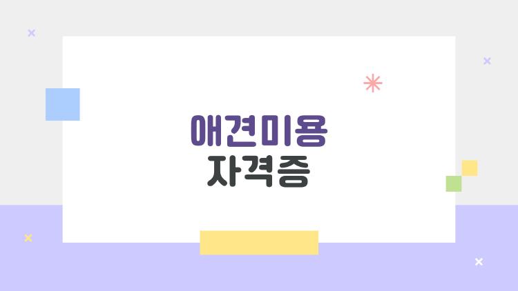 애견미용 자격증, 3개월 만에 딴 후기 폭발