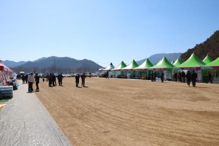 원동 미나리축제