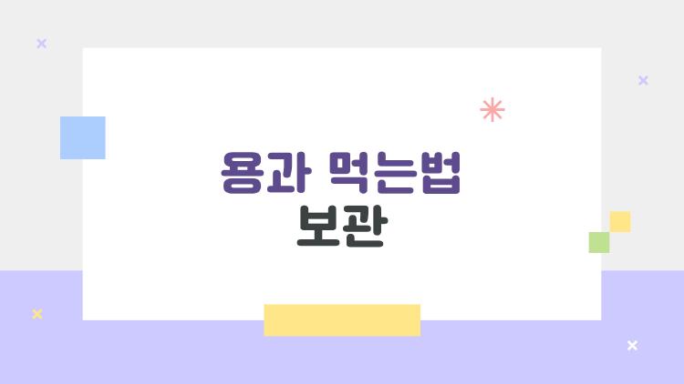 용과 먹는법 보관