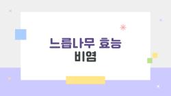 느릅나무 효능 비염, 의사도 놀란 점액질의 힘