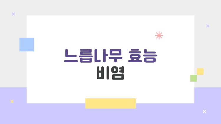 느릅나무 효능 비염