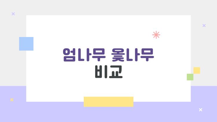 엄나무 옻나무 비교, 무독 옻나무가 2026년 대박난 이유