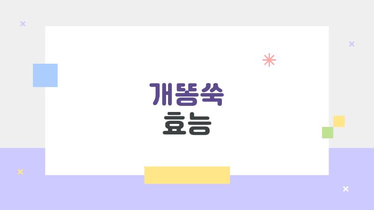 개똥쑥 효능