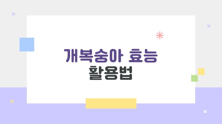아침햇살