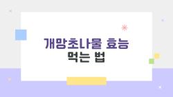 개망초나물 효능 먹는 법, 잡초인 줄 알았던 이 나물이 해독 꿀템?