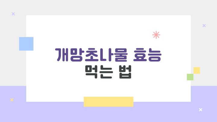 아침햇살