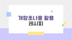 개망초나물 활용 레시피, 잡초라 불리던 이게 밥상 보석?