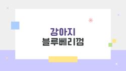 강아지 블루베리껌, 독해도 괜찮은 안전한 간식일까?