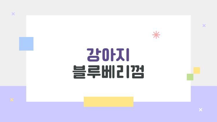 강아지 블루베리껌