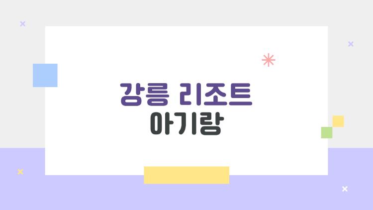강릉 리조트 아기랑, 수영장에서 울음 없이 놀린 비밀 방법