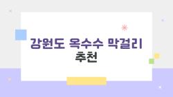 강원도 옥수수 막걸리 추천, 2026년 숨겨진 맛집 4종