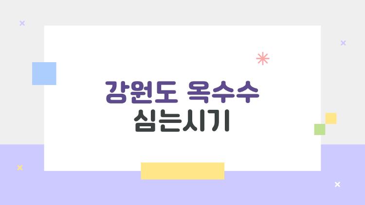 강원도 옥수수 심는시기