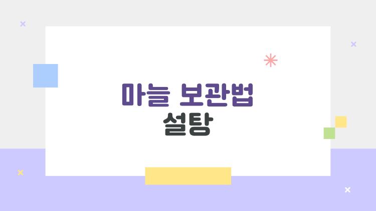 마늘 보관법 설탕 한 스푼에 마늘 걱정 끝, 진짜일까?