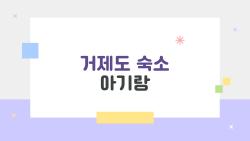 거제도 숙소 아기랑, 진짜 편한 곳은 따로 있더라