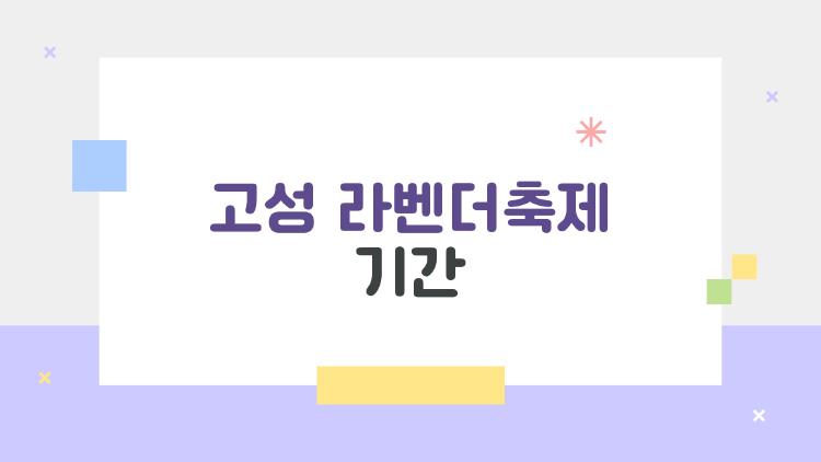 고성 라벤더축제 기간, 보랏빛 꿈나라가 현실로? 올해 절정 타이밍 공개
