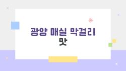 광양 매실 막걸리 맛, 상큼함에 홀딱 반한 이유