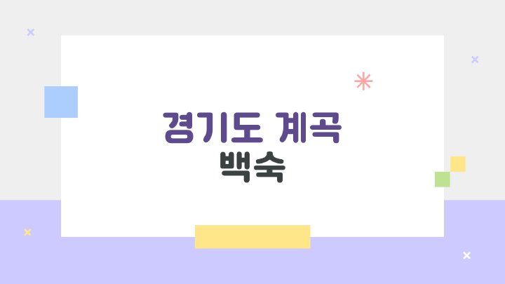 아침햇살