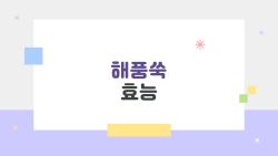 해풍쑥 효능, 면역력 폭발하는 비밀 풀었다!