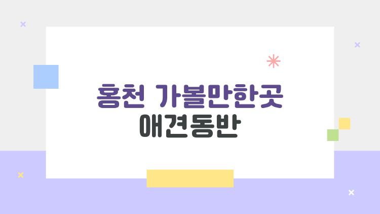 홍천 가볼만한곳 애견동반
