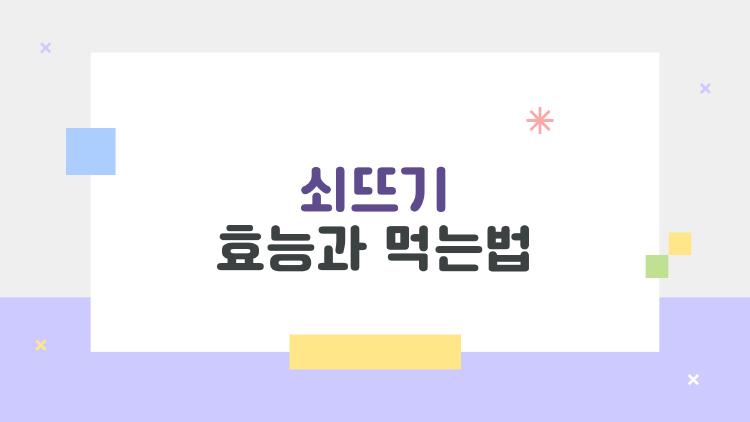 쇠뜨기효능과먹는법, 탈모 잡는 지천 보약 충격 효과